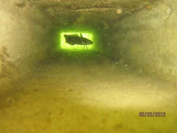 https://habitatmooring.com/wp-content/uploads/2025/03/IMG_0452.jpeg