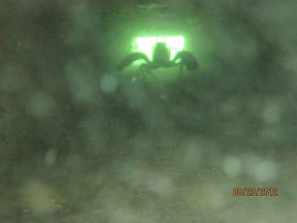 https://habitatmooring.com/wp-content/uploads/2025/03/IMG_0462.jpeg