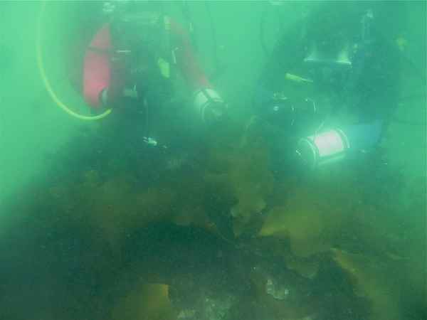 https://habitatmooring.com/wp-content/uploads/2025/03/IMG_2856.jpeg